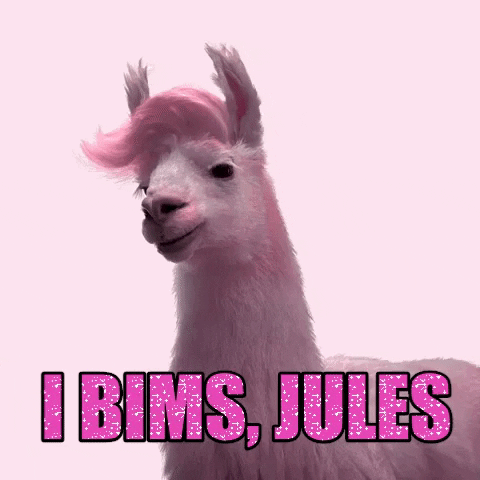 pink llama GIF by Jules Mumm