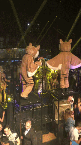 Teatro Dancing GIF