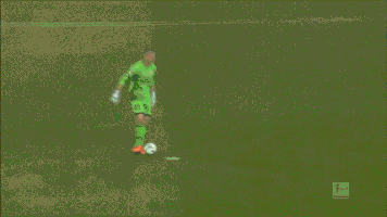 Goleiro Burro GIF