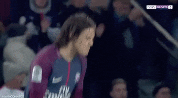 Football Sport GIF by beIN SPORTS