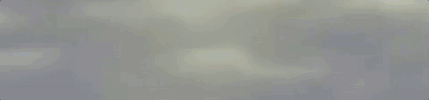OneTea you did it star fox starfox slippy GIF