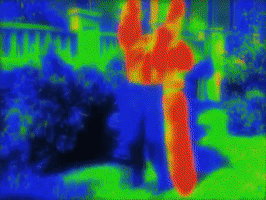 200.gif?cid=fc005b089252389969a9d9366ddc1bd396e14e4bdd829f0d&rid=200.gif&ct=g