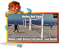 Ralphdharris beach giph volley ball GIF
