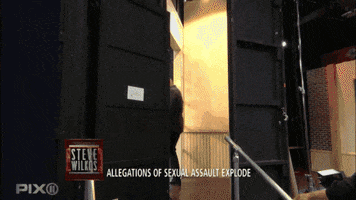 Excited Party GIF by The Steve Wilkos Show