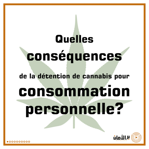 barralaman cannabis tunisie loi52 expÃ©rience comparÃ©e GIF