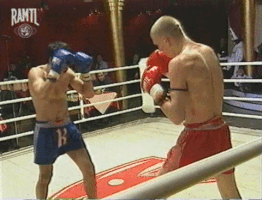 Sergey_Zayashnikov muay thai ramtl zayshnikov sergey GIF