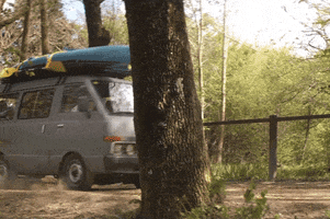 Car Forest GIF by Midas France