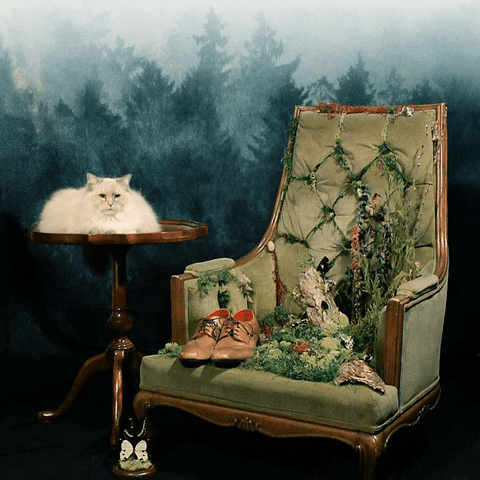 Nightflare Creative GIF