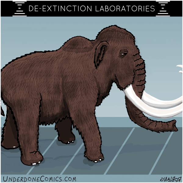 Can We Bring Back Animals That Went Extinct? And Should We?