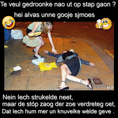 mientjepleumeekers te veel gedronken GIF