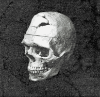 ewanjonesmorris skull blackandwhite repeat scan GIF