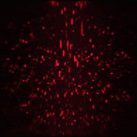 Warning Red Alert Gif By Erica Anderson Find Share On Giphy