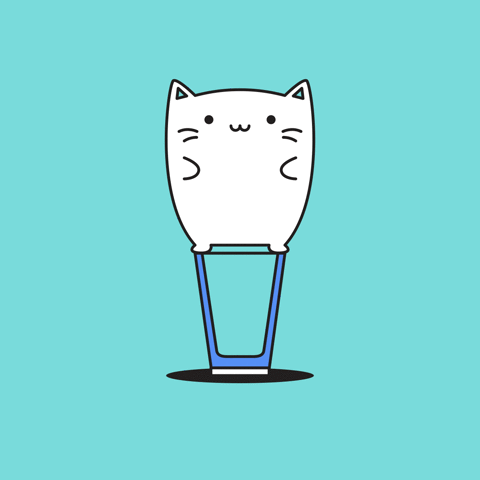 marlo kitty kittylove catsareliquid kittyawesomeness GIF