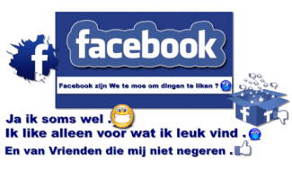 mientjepleumeekers facebook GIF