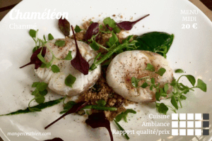 julgui manger c'est bien chamÃ©lÃ©on GIF