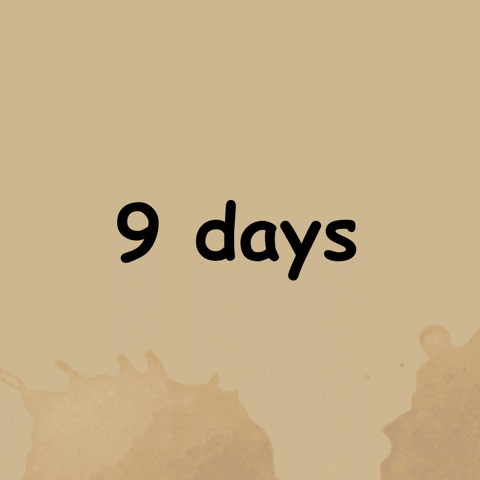 crapappella crapappella 9 days t go GIF