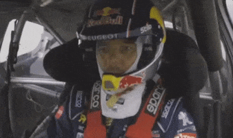 shake that car GIF by Red Bull