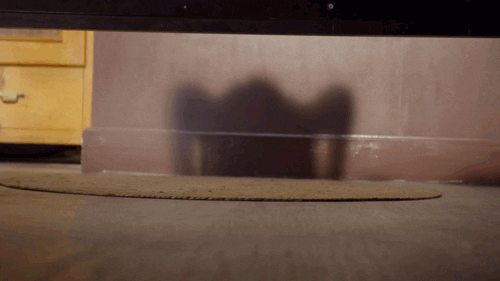 Giphy - Under the bed GIF by Nickelodeon