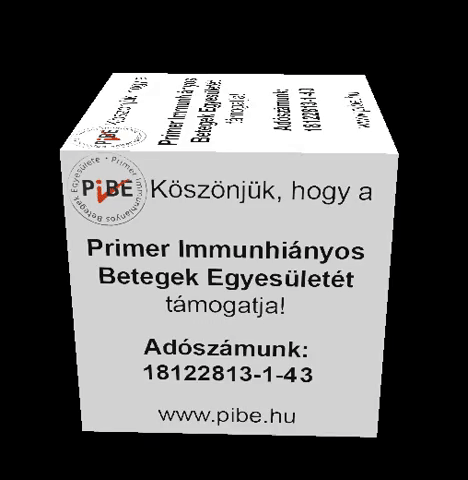 pisti  GIF