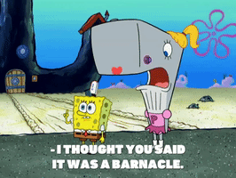 200.gif?cid=fc005b08f5d426c6a8b0d58952873dd4d1860d0041fa6c85&rid=200.gif&ct=g