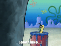 Season 5 Episode 6 GIF by SpongeBob SquarePants - Find & Share on GIPHY