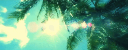 200.gif?cid=fc005b08b57feae3a6426e28c919c609531699b1932b8d75&rid=200.gif&ct=g