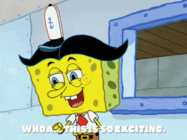 this is so exciting season 5 GIF by SpongeBob SquarePants