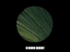200.gif?cid=fc005b081201861f74c390a16cf41b2278a3c1012d26fa5a&rid=200.gif&ct=g