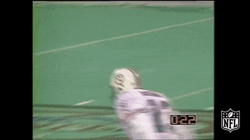 Excited Miami Dolphins GIF by NFL
