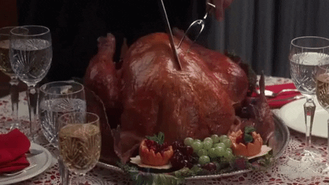 Christmas Vacation Turkey GIFs  Get the best GIF on GIPHY