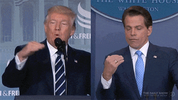 Twinning Donald Trump GIF by The Daily Show with Trevor Noah