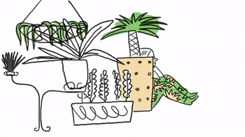 200.gif?cid=fc005b087ce6073b3ed113bd09fc2f453553f66386b2ae0c&rid=200.gif&ct=g
