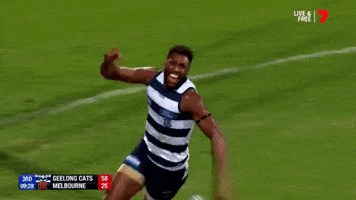 Geelong Cats GIF by AFL