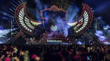 music festival stage GIF by Insomniac Events