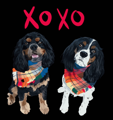 Twinning Puppy Love GIF by Honey Boo Designs