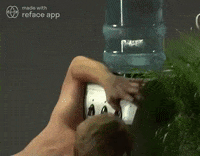 Dar-risada GIFs - Get the best GIF on GIPHY