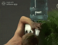 Muitas-risadas GIFs - Get the best GIF on GIPHY