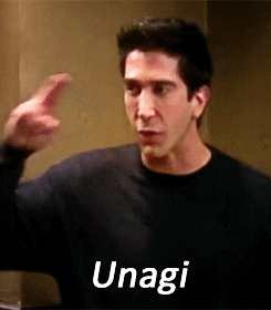 ross geller