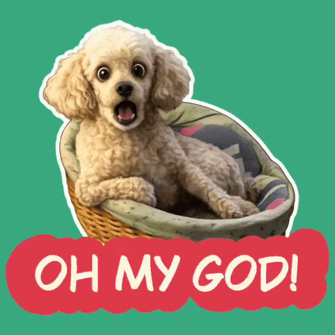 Dog Wow GIF