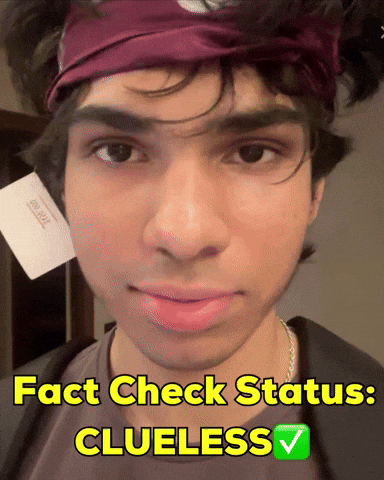 Check Fact GIF