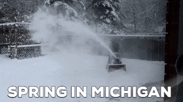 Spring In Winter Snowstorm GIF by Gone to the Snow Dogs
