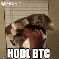 Money Bitcoin GIF by ProBit Exchange