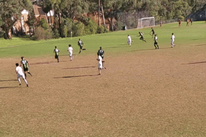 Ocsc GIF by Oldcamberwellsc
