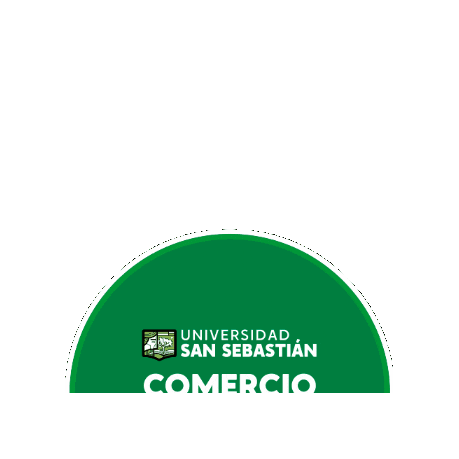 Universidad San Sebastian Sticker