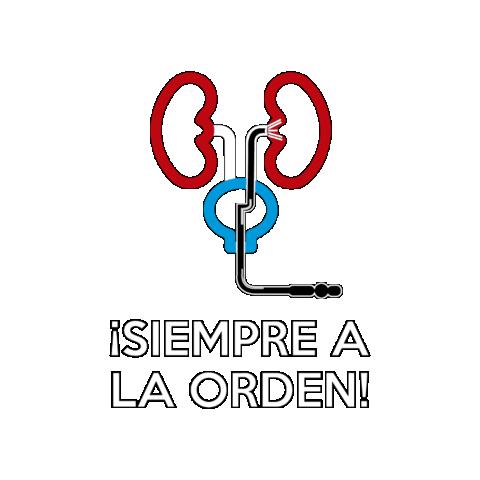 Siempre A La Orden Sticker