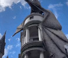 GIF by The Points Guy