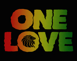 Onelovenz GIF by ONE LOVE FESTIVAL