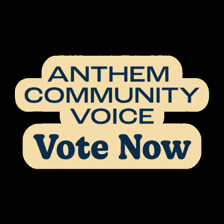 Ggc Vote Now GIF by Greater Good Charities