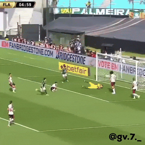 Raphael Veiga Libertadores GIF