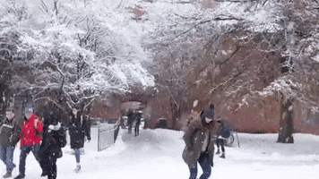 Snow Winter GIF by Saint Michael's College